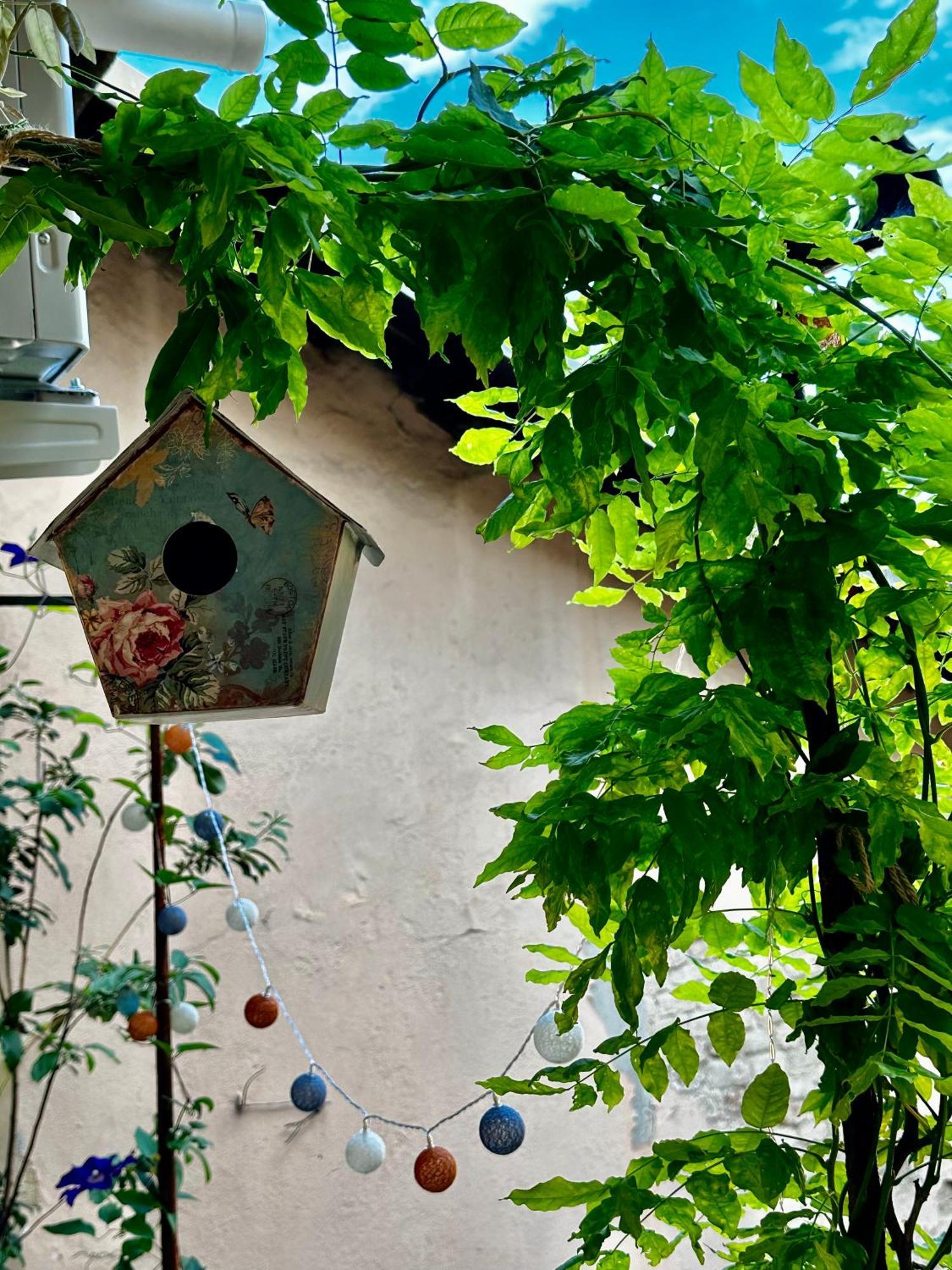 Apartament Il Balconcino Del Centro Storico Turyn Zewnętrze zdjęcie