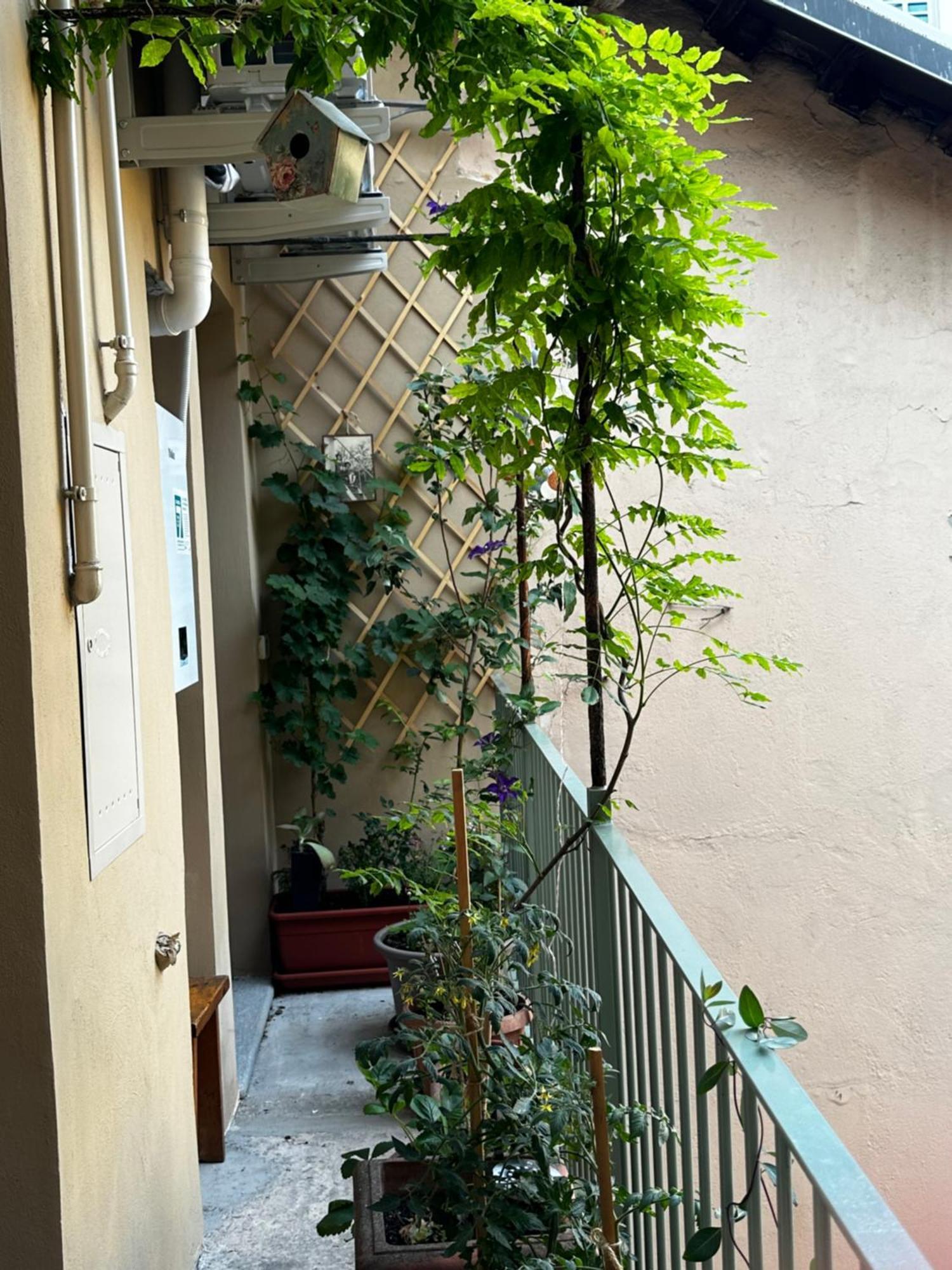 Apartament Il Balconcino Del Centro Storico Turyn Zewnętrze zdjęcie