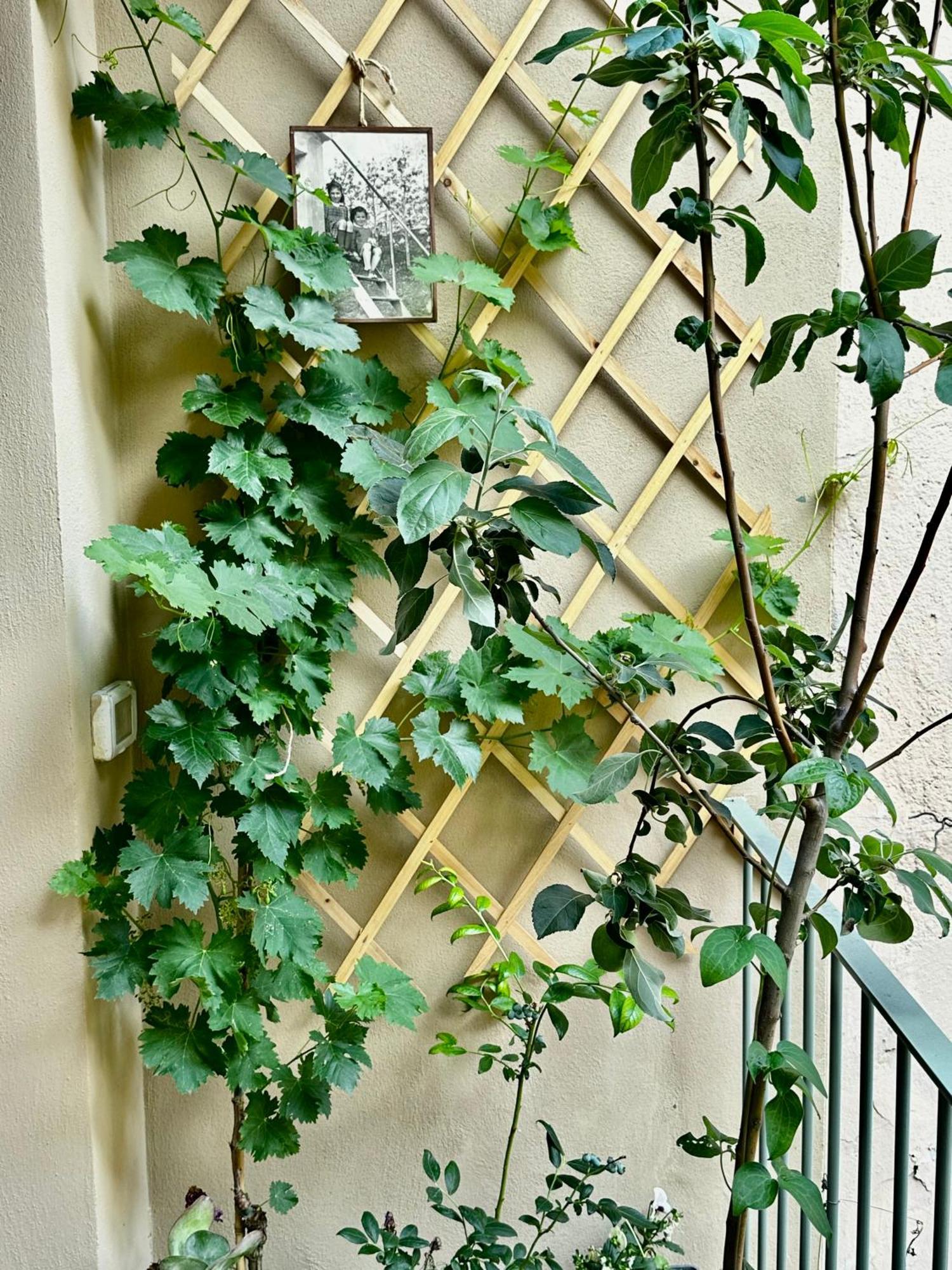 Apartament Il Balconcino Del Centro Storico Turyn Zewnętrze zdjęcie
